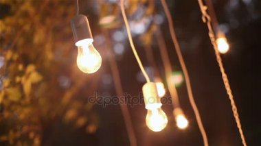 Dekoratif antika edison stil filaman woods, cam fener, lamba dekorasyon Bahçe geceleri asılı ampuller, sihirli orman, ampuller ve kızdırma orman ağacında dayan