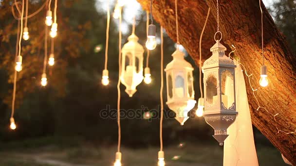 Декоративный антикварный стиль Эдисон нити лампочки висит в лесу, стеклянный фонарь, сад украшения лампы ночью, волшебный лес, лампочки и свечение висят на дереве в лесу — стоковое видео