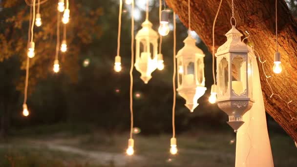 Ozdobné starožitné edison styl žhavené žárovky visí v noci v lese, skleněná Lucerna, lampa dekorace zahrada, kouzelný les, žárovky a záře pověsit na strom v lese — Stock video