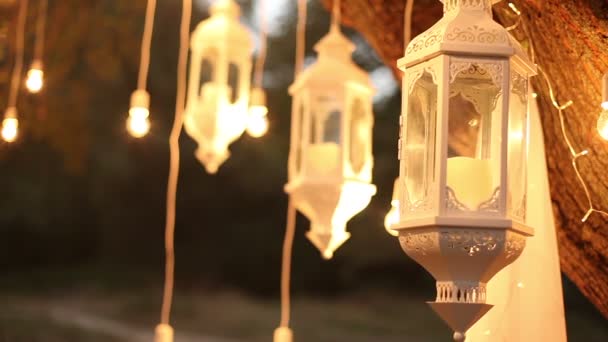 Decorative lampadine a incandescenza in stile edison antico appese nel bosco, lanterna di vetro, lampada decorazione giardino di notte, foresta magica, lampadine e bagliore appendere sull'albero nella foresta — Video Stock