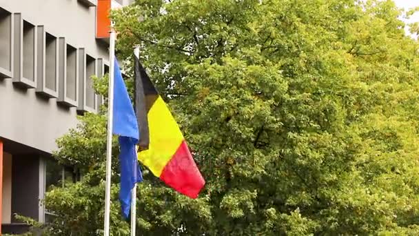 A bandeira europeia e a bandeira nacional alemã da alemanha com árvores e construção em segundo plano, bandeiras holandesas e europeias — Vídeo de Stock