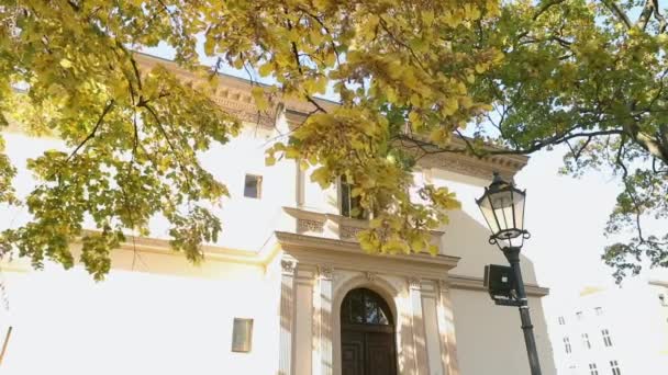 美丽的大树与秋天的黄叶子在老别墅前面, 树与黄色叶子在老大厦和一盏路灯的背景 — 图库视频影像