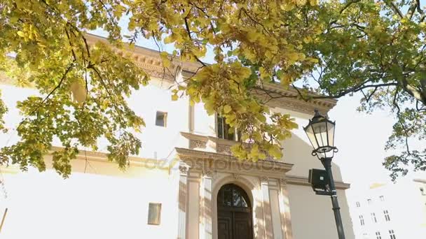 Bellissimo grande albero con foglie giallo autunnale di fronte alla vecchia villa, albero con foglie gialle sullo sfondo di un vecchio edificio e un lampione — Video Stock