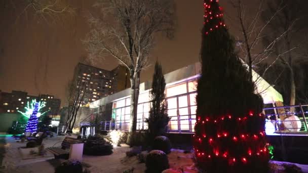 Außen modernes Haus oder Restaurant, die Weihnachtsbeleuchtung leuchtet an den Bäumen, am Nachthimmel, Kamerafahrt, Baum weihnachtlich geschmückt, hohe Baumlichter, Blick von unten