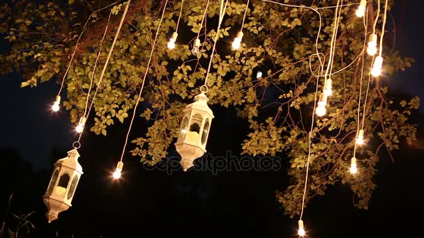 Ozdobné starožitné edison styl žhavené žárovky visí v noci v lese, skleněná Lucerna, lampa dekorace zahrada, kouzelný les, žárovky a záře pověsit na strom v lese — Stock video