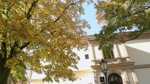 Большое дерево с осенними желтыми листьями перед старой виллой, дерево с желтыми листьями на фоне старого здания и уличная лапша — стоковое видео