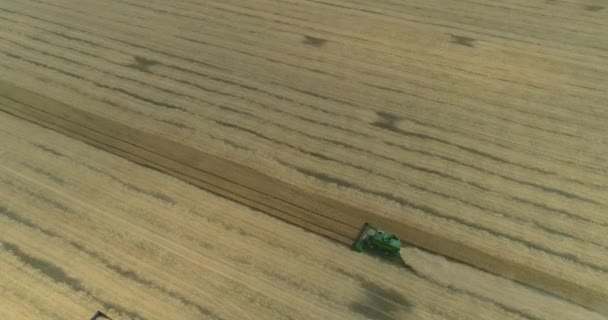 コンバインやトラクター大麦畑、麦畑、緑の収穫フィールドでの作業の収穫作業の空中写真 — ストック動画