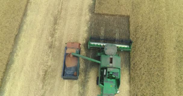 Vue aérienne sur les moissonneuses-batteuses et les tracteurs travaillant sur le grand champ de blé, Récolteuse sur le champ de blé, Récolteuse verte travaillant sur le champ — Video