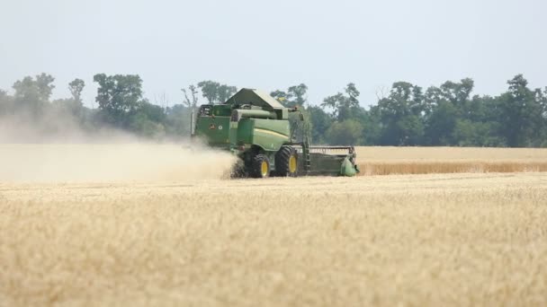 Moissonneuse-batteuse sur le champ de blé, Moissonneuse-batteuse verte travaillant sur le champ, vue sur les moissonneuses-batteuses et tracteurs travaillant sur le grand champ de blé — Video