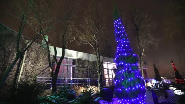 Extérieur de la maison ou du restaurant moderne, les lumières de Noël sont allumées sur les arbres, dans le ciel nocturne, mouvement de la caméra, arbre décoré avec des lumières de Noël, hautes lumières de l'arbre, vue d'en bas — Video