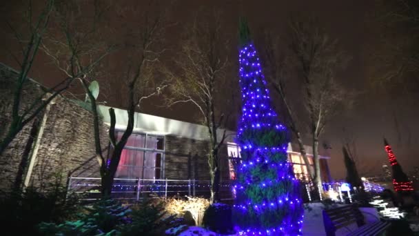 Exterior de la casa moderna o restaurante, las luces de Navidad se encienden en los árboles, en el cielo nocturno, movimiento de la cámara, árbol decorado con luces de Navidad, altas luces de árboles, vista desde abajo — Vídeo de stock