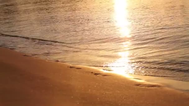 Vagues sur la plage sous les tropiques à l'aube, Matin à la mer, Lever du soleil sur la plage de la mer, Lumière du soleil orange, Plage et coucher du soleil de la mer, mer au coucher du soleil, à l'aube, coucher du soleil, Réflexion solaire sur l'eau — Video