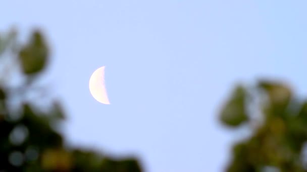 Повний місяць в нічному небі, яскравий місяць, нічне небо, рух хмар в нічному небі на тлі яскравого місяця — стокове відео