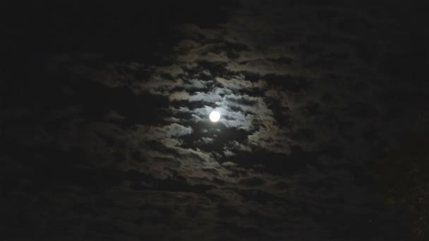 Pleine lune dans le ciel nocturne, lune brillante, ciel nocturne, le mouvement des nuages dans le ciel nocturne sur le fond d'une lune lumineuse — Video