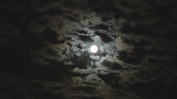 满月在夜晚的天空，皎洁的明月，夜晚的天空，在夜晚的天空背景下的一轮明月云团的运动 — 图库视频影像