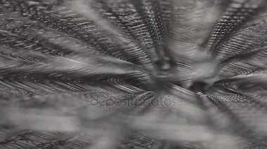 Bahar birim yatak birim, ortopedik yatakları, odak, makro closeup