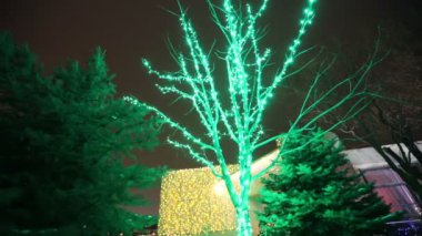 Noel ağacı ışıkları. Noel ağacı, garland bir yeni yıl üzerinde yanıp sönen ışıklar, Noel ışıkları. Bulanıklık yeni yıl süslemeleri