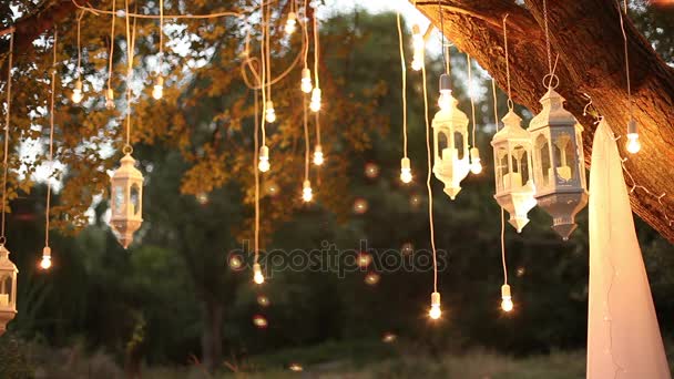 Decorative lampadine a incandescenza in stile edison antico appese nel bosco, lanterna di vetro, lampada decorazione giardino di notte, foresta magica, lampadine e bagliore appendere sull'albero nella foresta — Video Stock