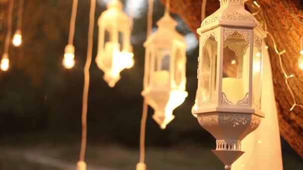 装饰古董爱迪生风格灯丝灯泡挂在树林里, 玻璃灯笼, 灯装饰花园在夜间, 魔术森林, 灯泡和辉光挂在树上的森林 — 图库视频影像
