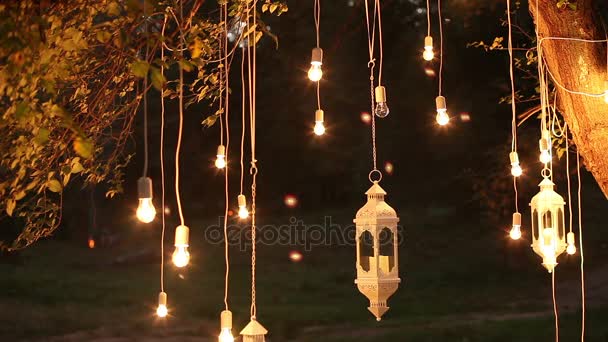 Edison antigo decorativo estilo filamento lâmpadas penduradas na floresta, lanterna de vidro, jardim decoração lâmpada à noite, floresta mágica, lâmpadas e brilho pendurar na árvore na floresta — Vídeo de Stock