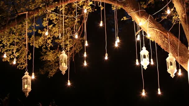 Decorative antique edison style filament light bulbs hanging in the woods, glass lantern, lamp decoration garden at night, magic forest, light bulbs and glow hang on the tree in the forest — Stock Video