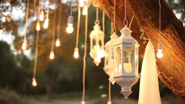 Декоративные антикварные эдисон стиль нити лампочки висит в лесу, стеклянный фонарь — стоковое видео