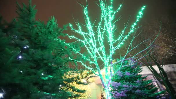 クリスマス ツリーが点灯します。クリスマス ツリー、正月、ガーランドには、ライト、クリスマス ライトが点滅しています。新しい年の装飾、ぼかし — ストック動画