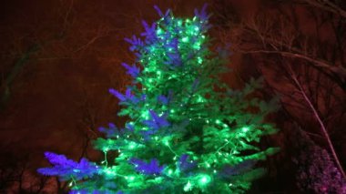 Dış modern ev veya Restoran, gece gökyüzünde, kamera hareketi, ağaç ağaçlarda ışıklar yanıyor Noel Noel ışıkları, uzun ağaç ışıklar, görünümü ile aşağıdan dekore edilmiş