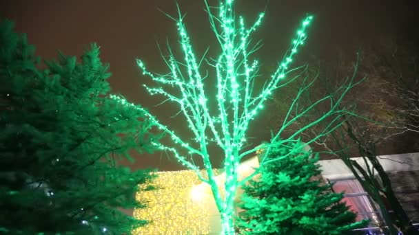 Weihnachtsbaumbeleuchtung. Weihnachtsbaum, Lichtergirlanden an Neujahr, blinkende Lichter, Weihnachtsbeleuchtung. Neujahrsdekorationen, verschwommen — Stockvideo