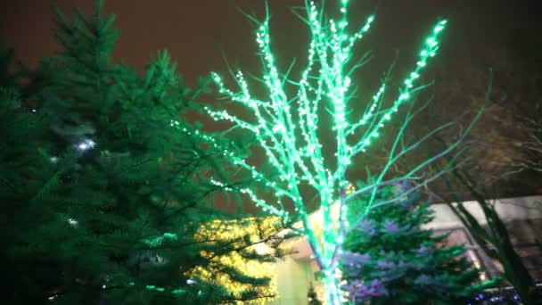 Christmas tree lights. Christmas tree, garland on a New Year, blinking lights, Christmas lights. New Years decorations, blurring — Stock Video