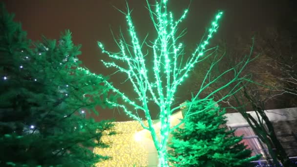 Lumières d'arbre de Noël. Arbre de Noël, guirlande sur une nouvelle année, lumières clignotantes, lumières de Noël. Décoration du Nouvel An, floue — Video