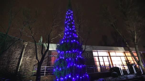 Exterior of modern house or restaurant, the Christmas lights are lit on the trees, in the night sky, camera movement, tree decorated with Christmas lights, tall tree lights, view from below — Stock Video