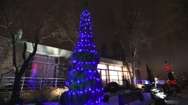 Na zewnątrz nowoczesny dom lub restauracji, Boże Narodzenie, światła świecą się na drzewach, w nocne niebo, ruch kamery, drzewa zdobią Boże Narodzenie światła, światła wysokie drzewo, widok od dołu — Wideo stockowe