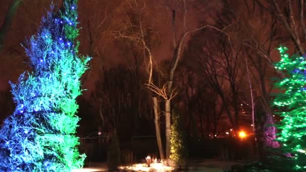 Exterior de la casa moderna o restaurante, las luces de Navidad se encienden en los árboles, en el cielo nocturno, movimiento de la cámara, árbol decorado con luces de Navidad, altas luces de árboles, vista desde abajo — Vídeo de stock