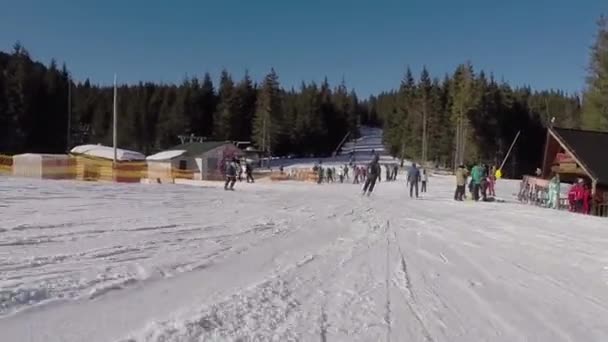 Skidåkare kommer från de snötäckta bergen, en skidlift bär människor upp på berget, skidåkare härstammar från de snötäckta bergen, människor skidåkning, höga granar på bergssluttningen, solig dag — Stockvideo