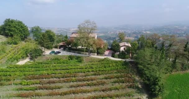 Linhas de linhas de vinha, grama verde abaixo e folhas douradas, topo de uma colina, vinha no outono, vista superior, close-up, folhas, antena, vinhas, linhas de vinhas, folhas, França, Chateau, Itália, casa — Vídeo de Stock