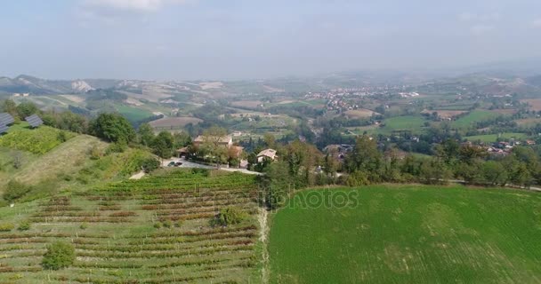 Linhas de linhas de vinha, grama verde abaixo e folhas douradas, topo de uma colina, vinha no outono, vista superior, close-up, folhas, antena, vinhas, linhas de vinhas, folhas, França, Chateau, Itália, casa — Vídeo de Stock