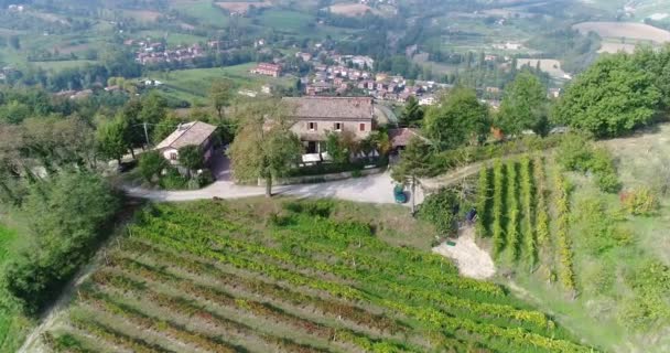 Beautiful vineyard on top of a mountain, in the background of an old Italian city — Stock Video