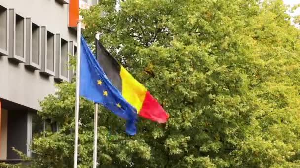 De Europese vlag en de Duitse vlag van Duitsland met bomen en gebouwen in de achtergrond, Nederlandse en Europese vlaggen — Stockvideo