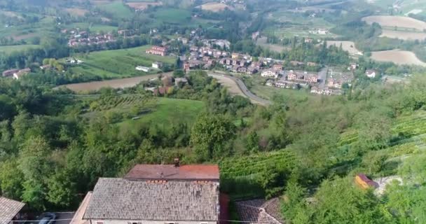 एक पुराने इतालवी शहर की पृष्ठभूमि में एक पहाड़ के ऊपर सुंदर दाख की बारी — स्टॉक वीडियो
