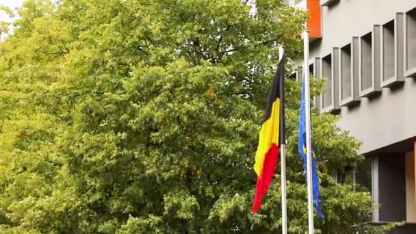 La bandera europea y la bandera alemana nacional de Alemania con árboles y edificio en el fondo, holandés y banderas europeas — Vídeos de Stock