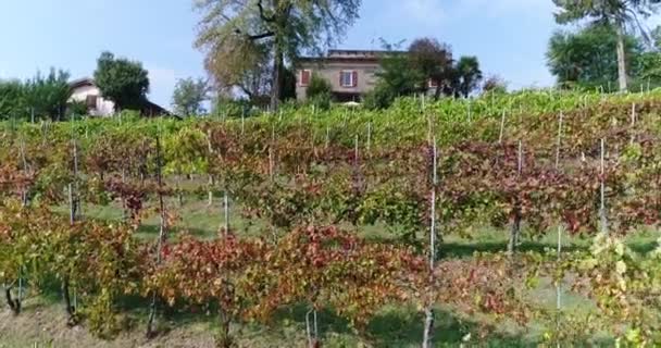 Foto aerea di un villaggio svizzero in un luminoso pomeriggio di sole. Svizzera dal cielo, Casa in cima alla montagna — Video Stock