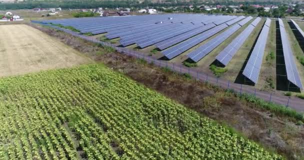 Aerial view to solar power plant. Industrial background on renewable resources theme. flying over rows of solar panels, solar panels, solar panels on the field, top view, View from above, 4K — Stock Video