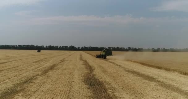 Luchtfoto combineert en trekkers die werken op het groot tarweveld, Harvester op het tarweveld, groene maaimachine werkt op het veld, weergave van boven, het veld oogsten tarwe, antenne, 4k — Stockvideo