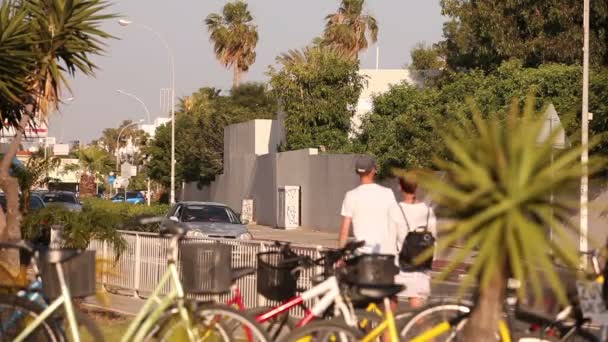 Cars on the streets of the resort city, bicycles and a palm tree on the background of a city highway in a resort town, summer, traffic, shallow depth of field — Stock Video