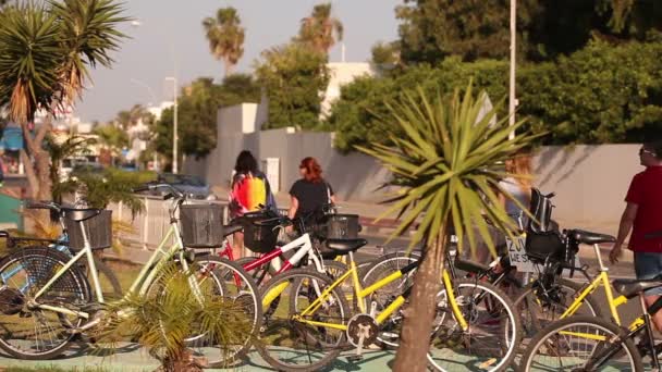 Coches en las calles de la ciudad turística, bicicletas y una palmera en el fondo de una carretera de la ciudad en una ciudad turística, verano, tráfico, poca profundidad de campo — Vídeo de stock