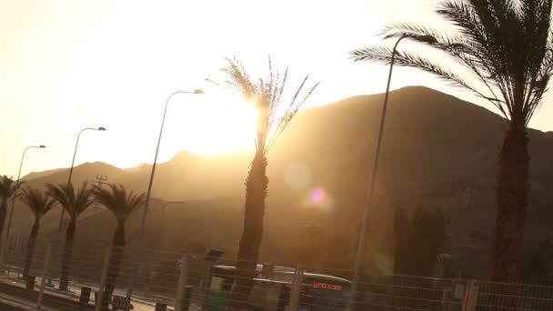 Palmeras a lo largo de la carretera al atardecer, palmeras sobre un fondo de montañas, el sol se pone sobre la montaña en un país tropical, sol, naranja, rayo de sol a través de palmeras, palmeras a lo largo de la carretera — Vídeos de Stock