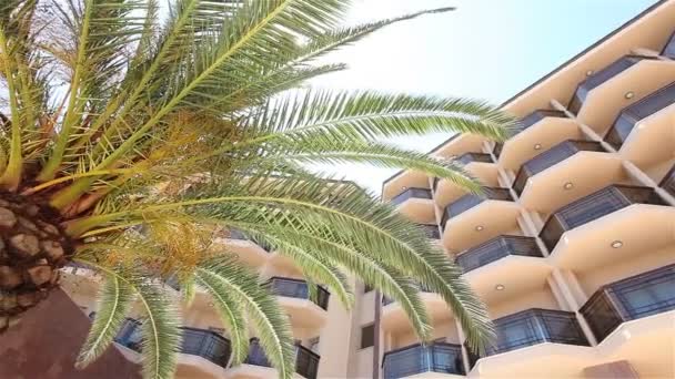 Palmový strom, který roste před hlavní budovou hotelu — Stock video