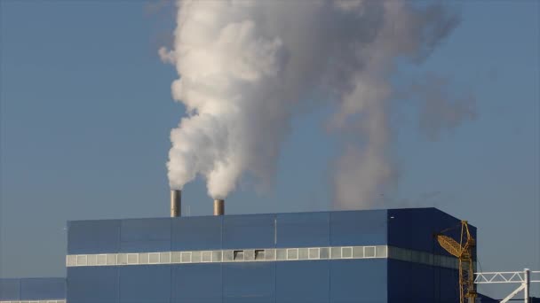 工場や工場の屋根の上のパイプから煙、パイプ、白い厚い煙の生産部屋の屋根終了パイプ、一般的な計画 — ストック動画