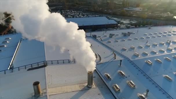 Dym z rury na dachu fabryki lub fabryki, dachu pokój w którym produkcji rur, biały gęsty dym wychodzi rury — Wideo stockowe
